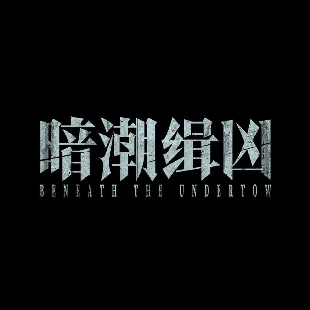 网剧暗潮缉凶（闷声破大案版
