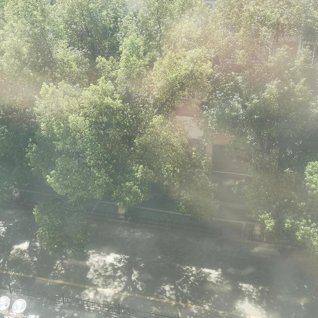 呆呆36吉