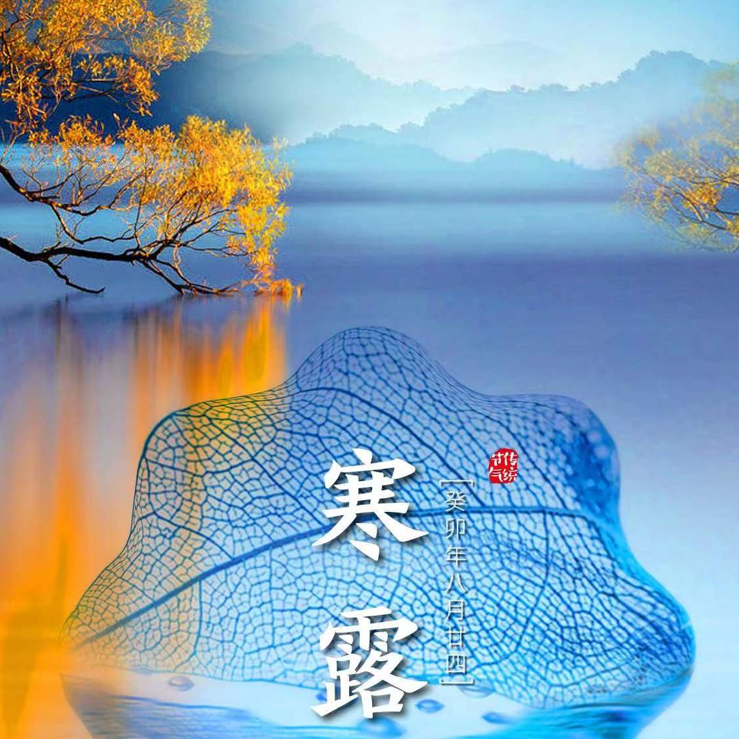 苏宁易购孔雀湖店田国海