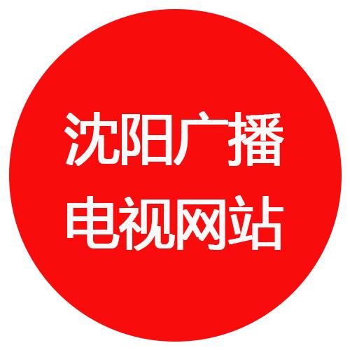 沈阳广播电视台网站