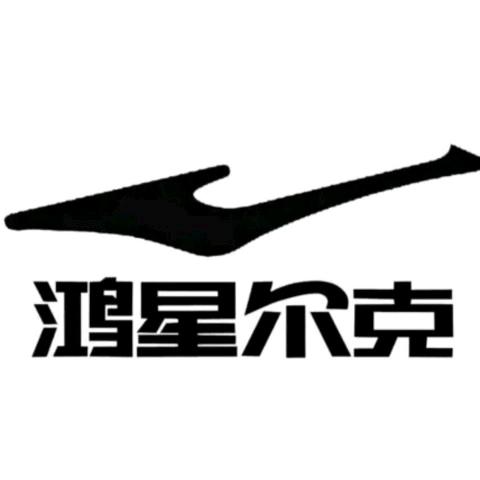 鸿星尔克—望江三店