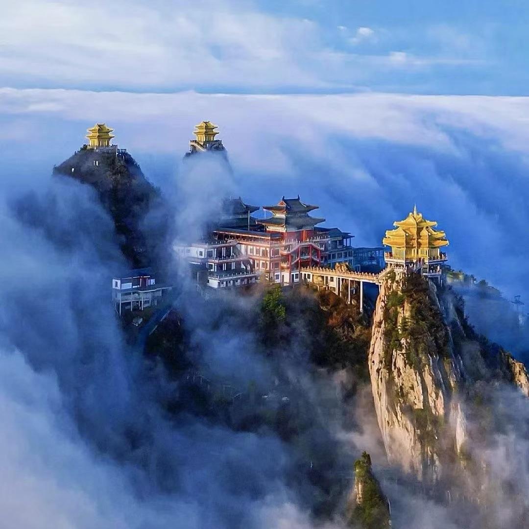 2025河南省旅游年卡一卡通A