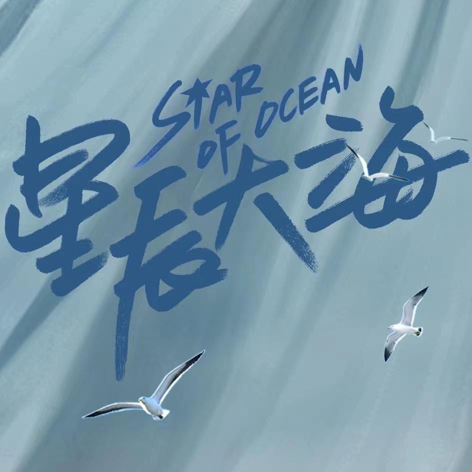 电视剧星辰大海