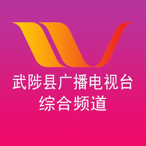 武陟电视台综合频道