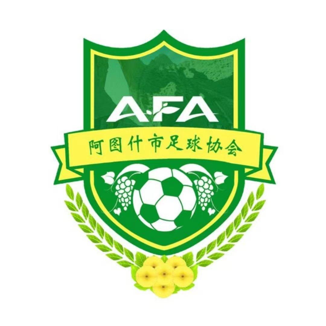 阿图什市足球协会