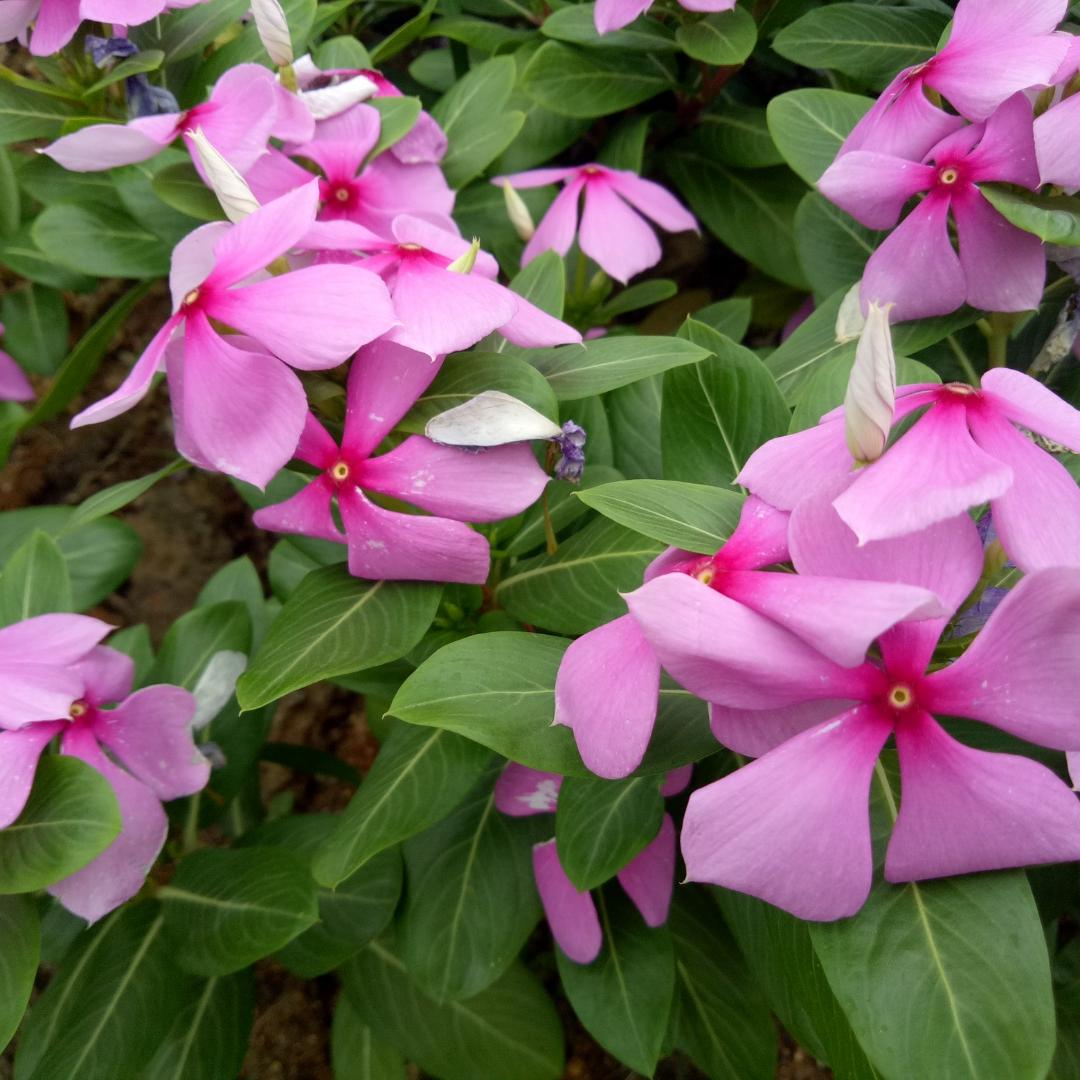 万合广场四平电器许翠荣
