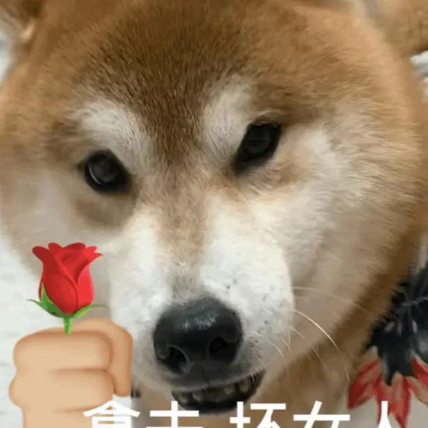 ᝰℳ.Cꫝꫀꫛྋ⁽ଘ大陈ཽ