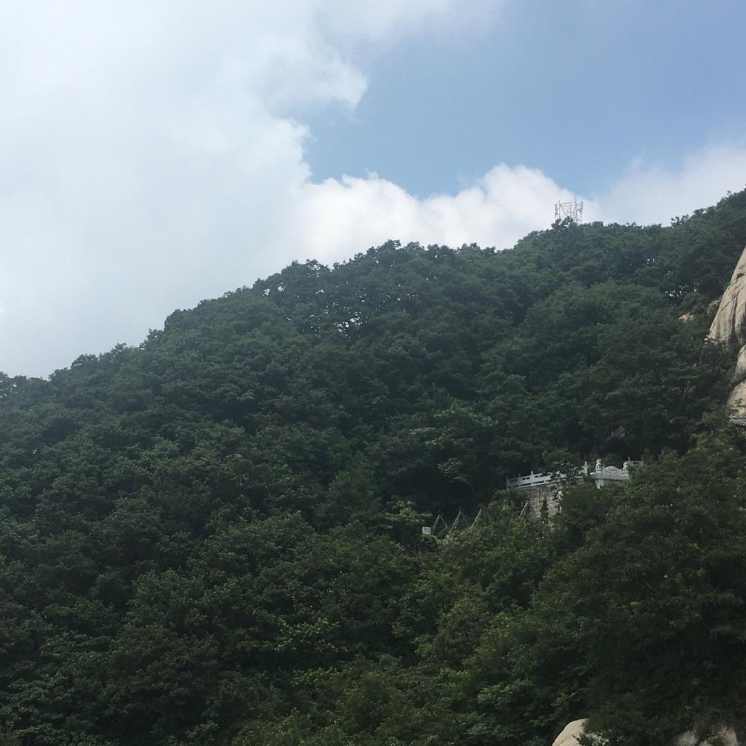 小璐甄选