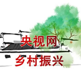 央视网乡村振兴@抖音