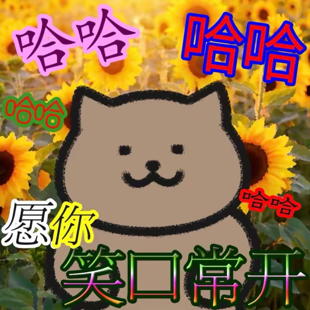 花开富贵潮玩(三部)