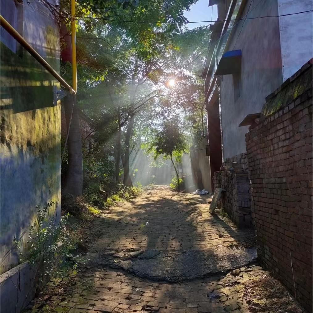 丝丝
