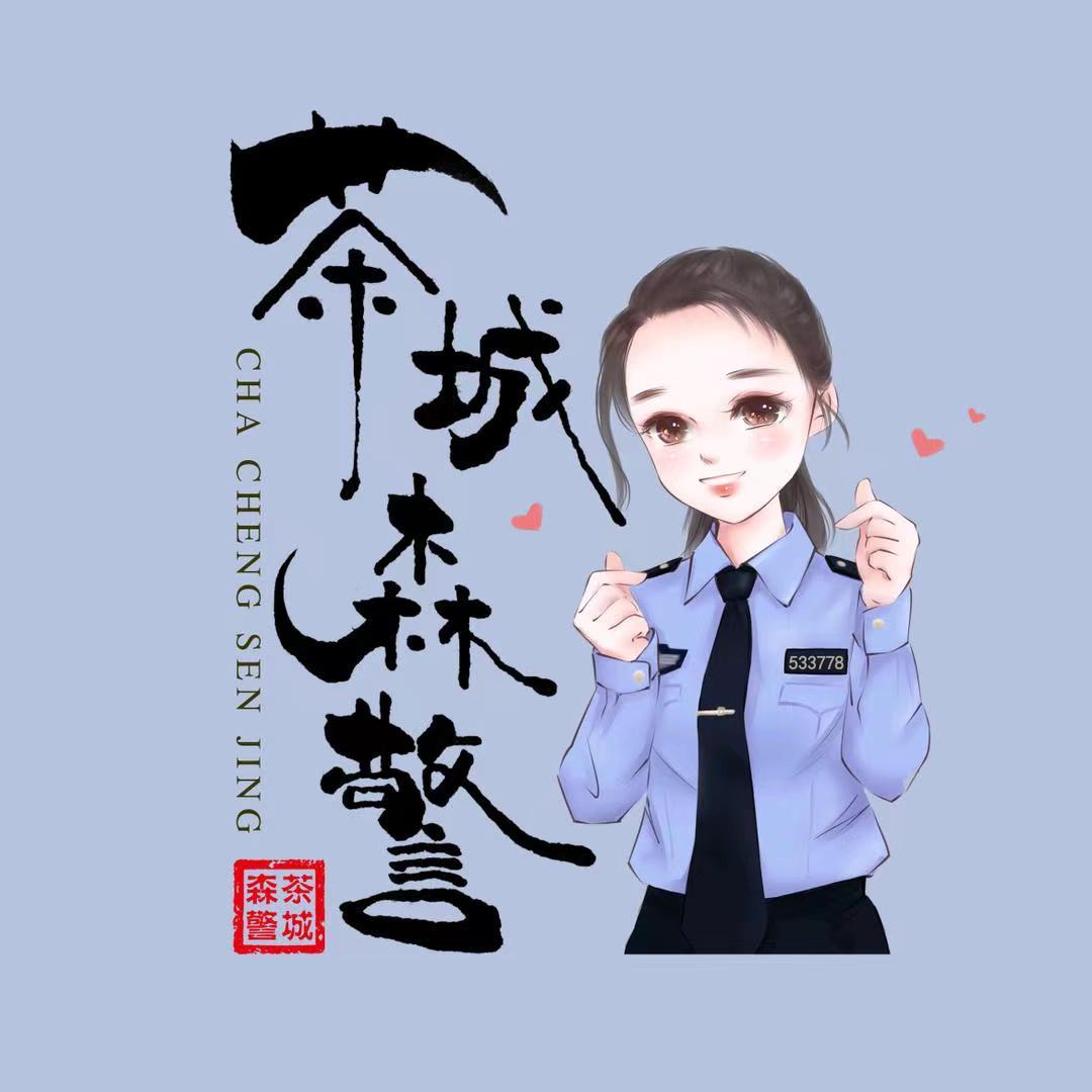 茶城森警