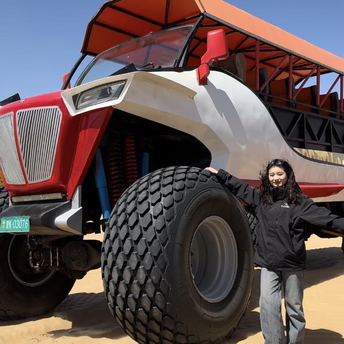 内蒙古导游—竹叶青