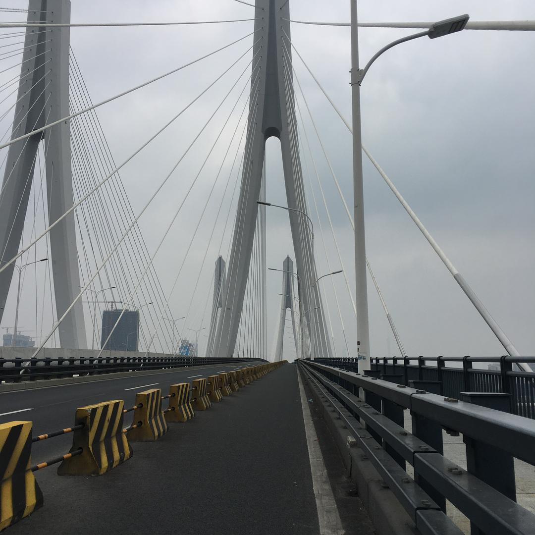 封开小黄