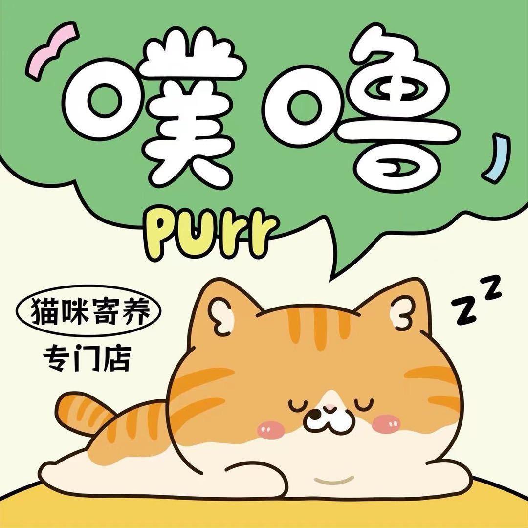 Purr噗噜猫咪寄养·洗护（龙岗爱联店）