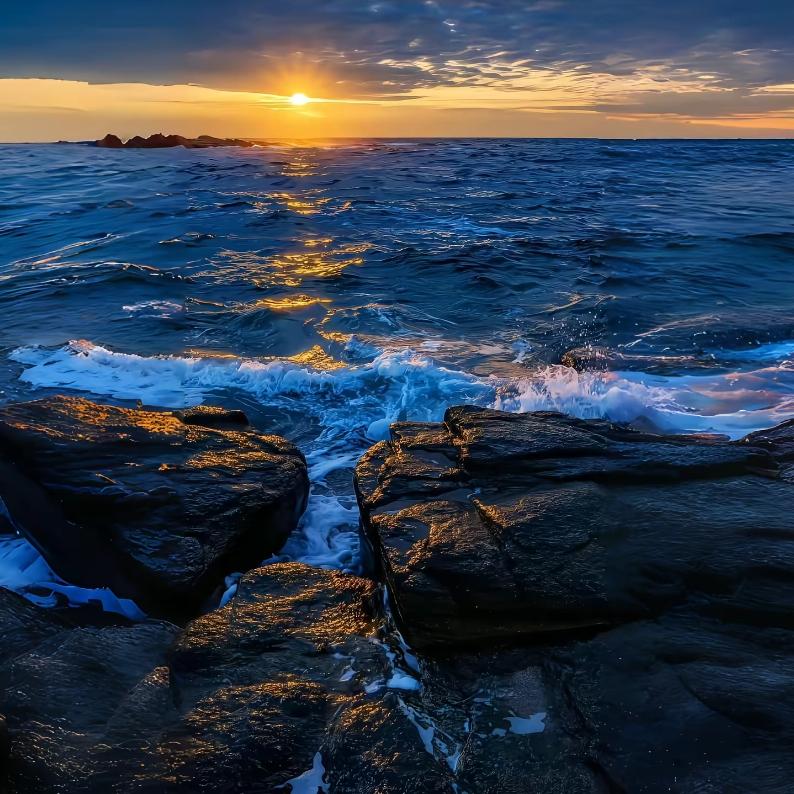 荣耀官方授权体验店小胖