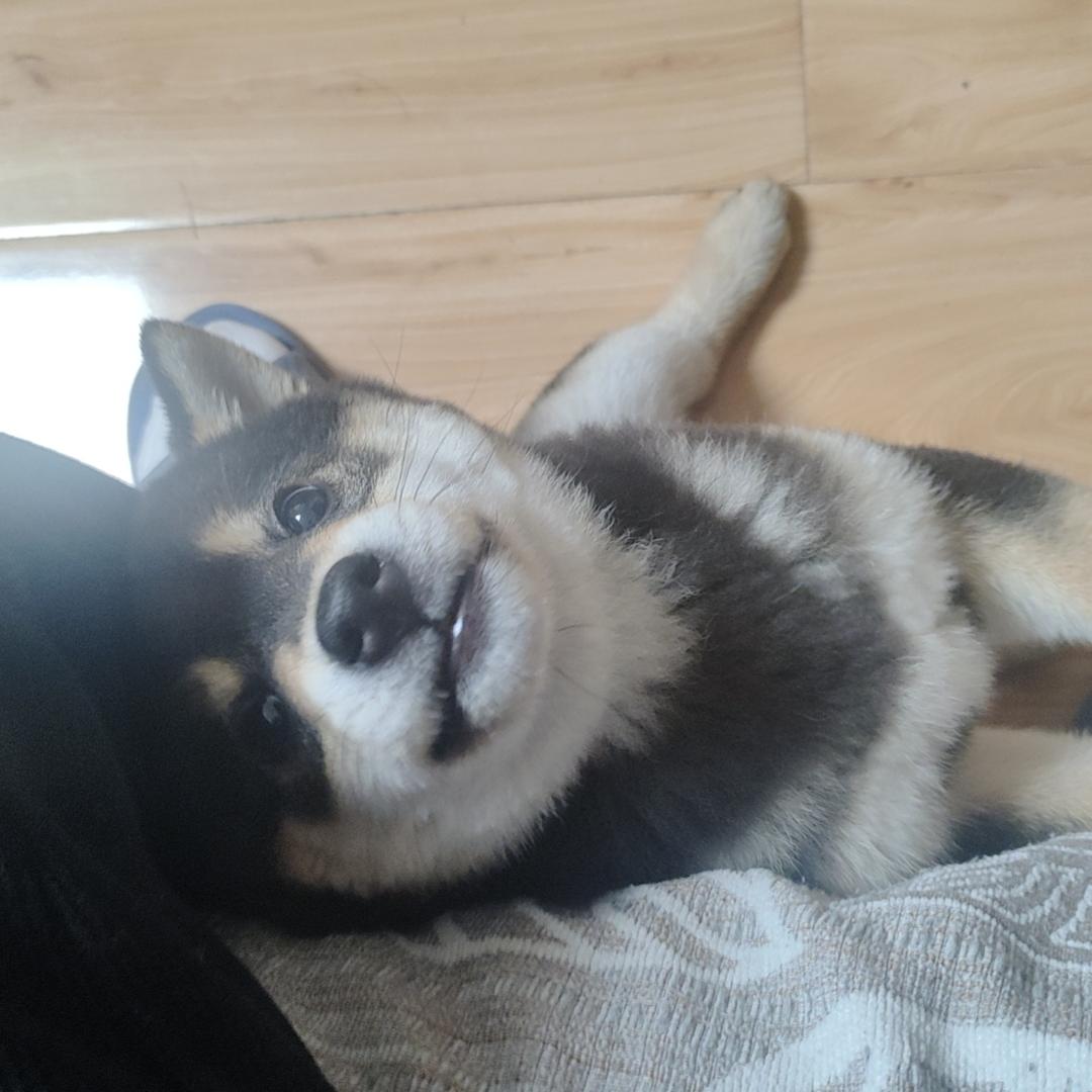 条条起量，天天爆单