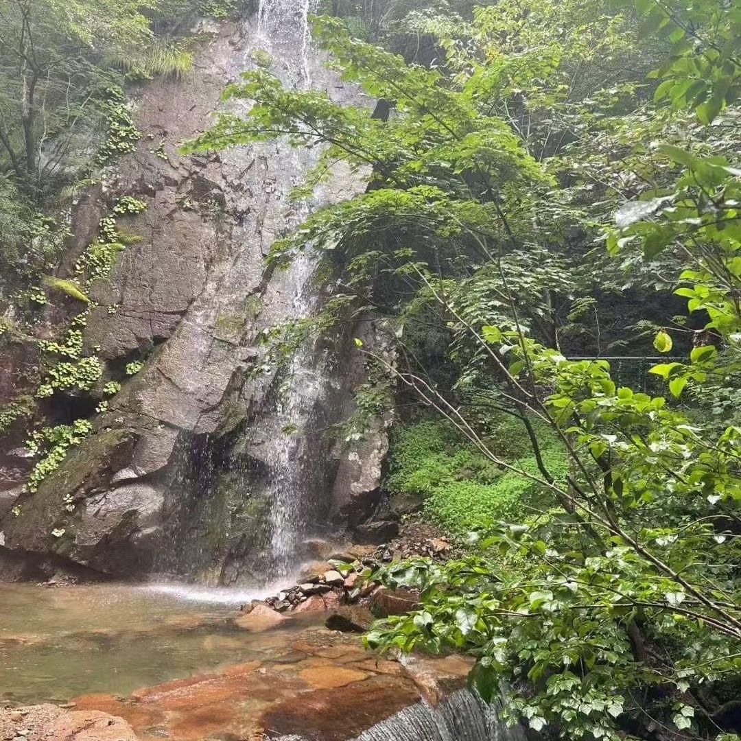 甜甜不吃糖