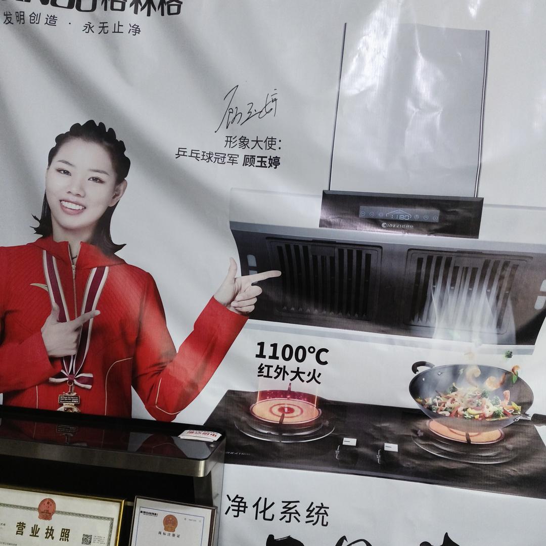 红塔格林格厨电