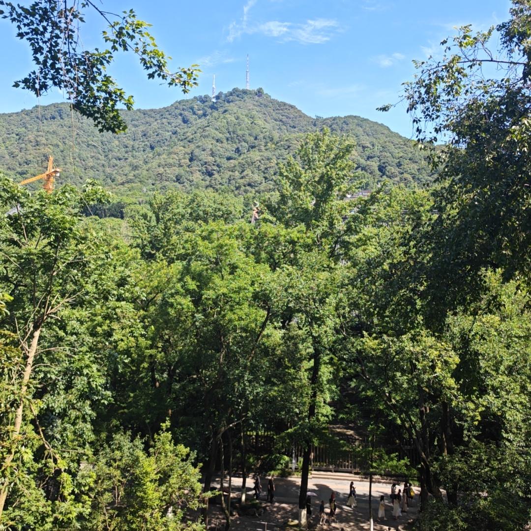 姜姜精讲团（灵隐，西湖，宋城杭州各景区）
