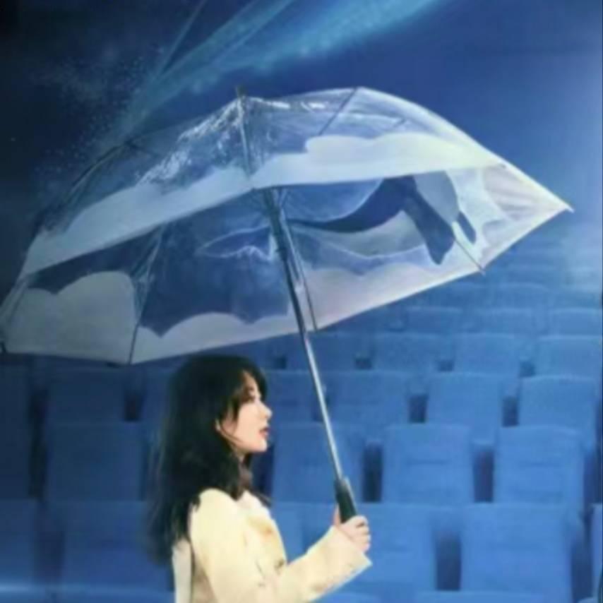 泓韬