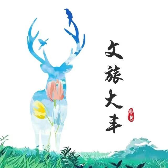 文旅大丰