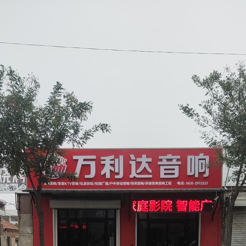 临清万利达音响