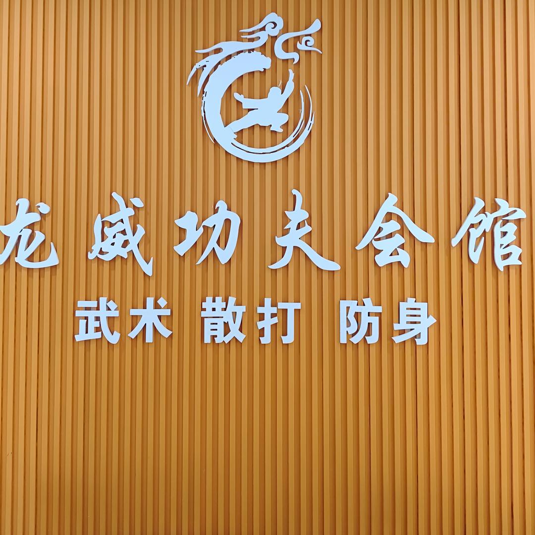 永嘉龙威功夫阿文教练