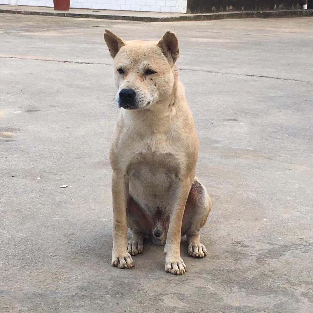 广西娱乐