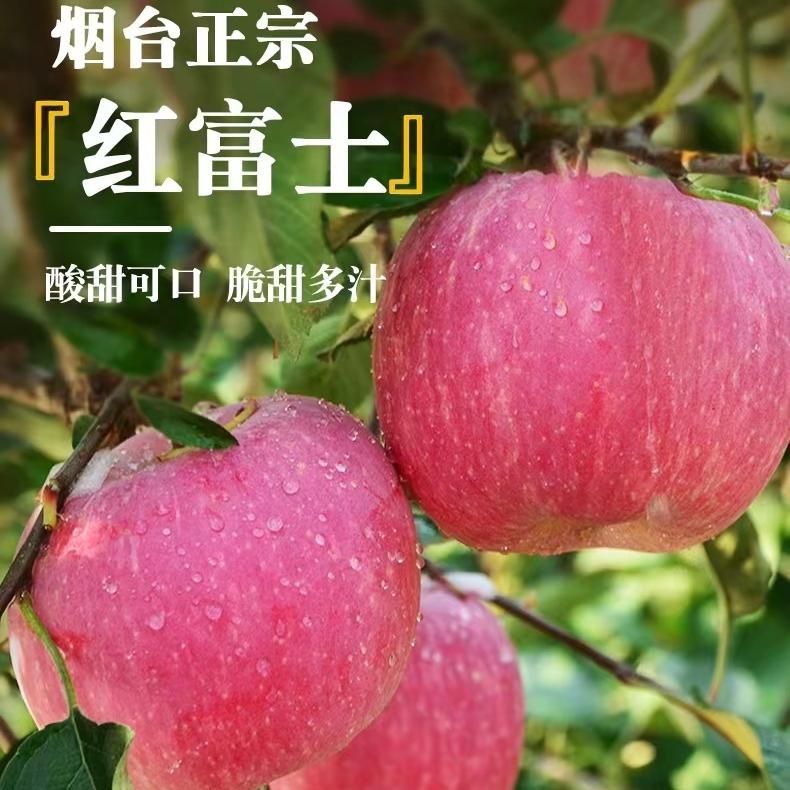 乡味说梦潮果蔬专卖店