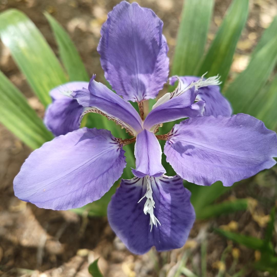 华联超市世购123^O^