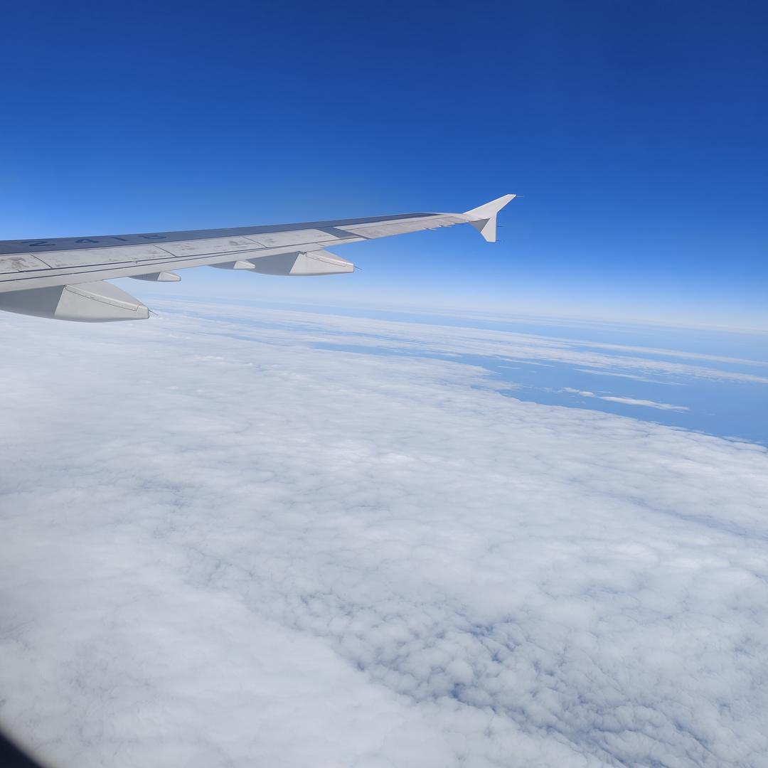 凯乐游泳教练吕强强