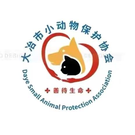 大冶市小动物保护协会