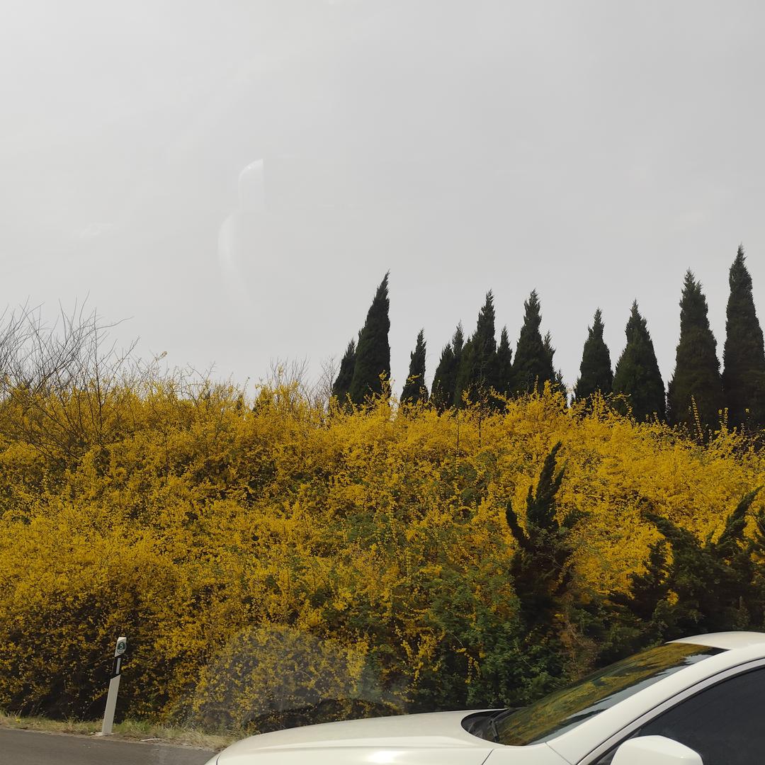 孟家二小姐😄😉