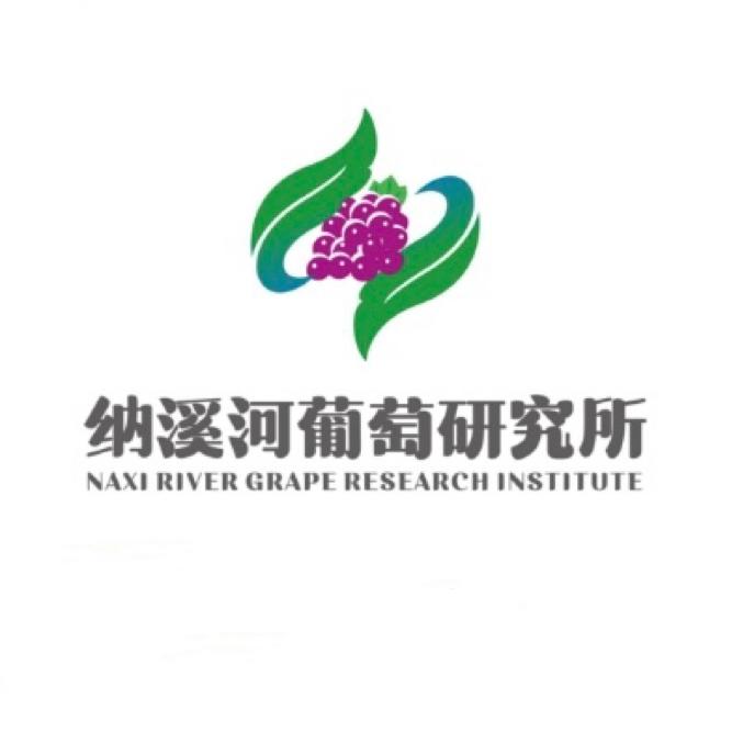 宾川纳溪河葡萄研究所