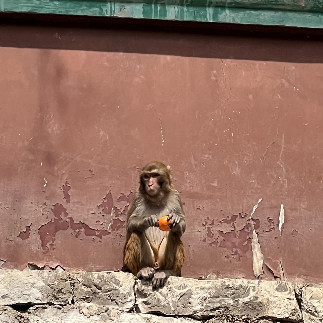 丘比特的快递箱