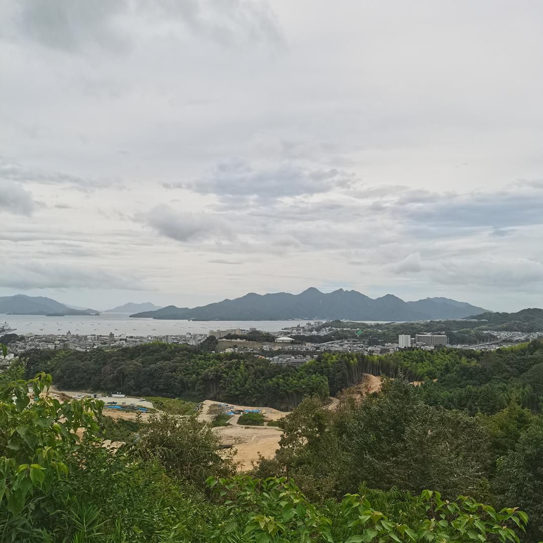 干果批发