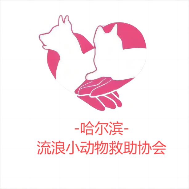 哈尔滨市刘丽流浪小动物救助协会