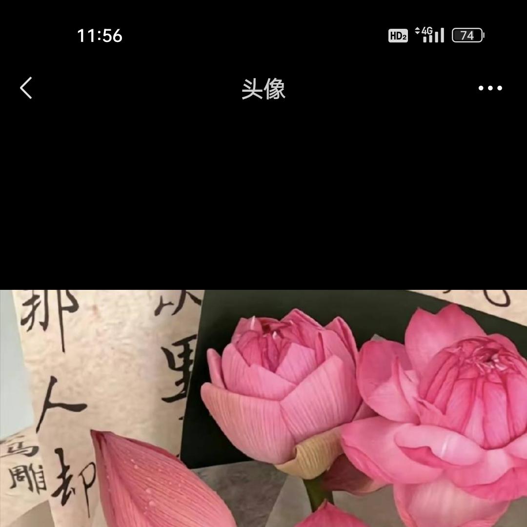 薯片