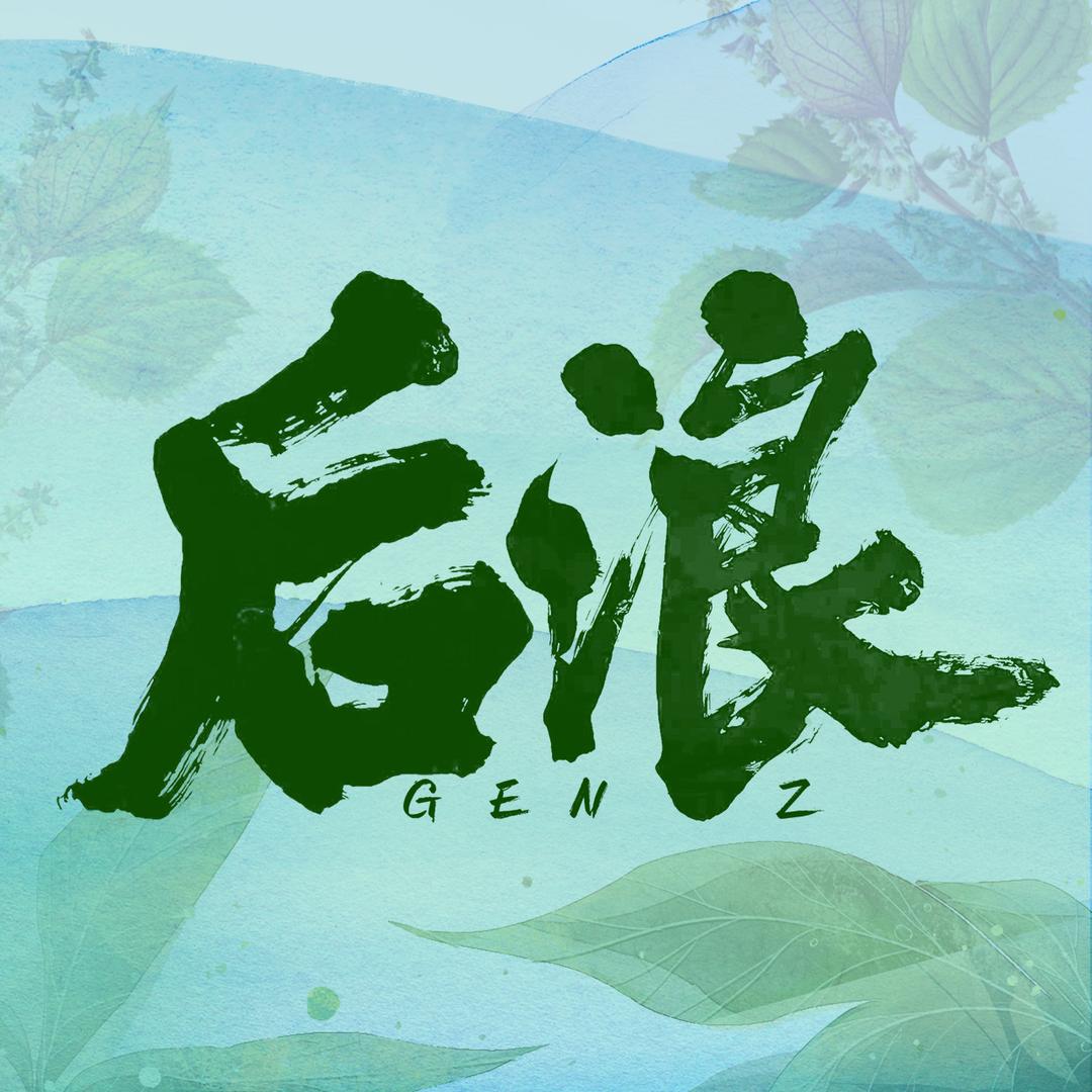 电视剧后浪