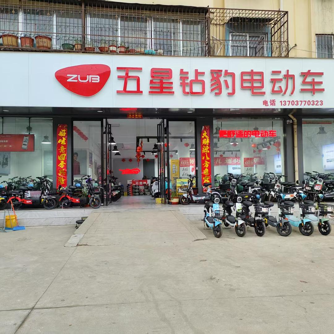 北京路五星钻豹大龙