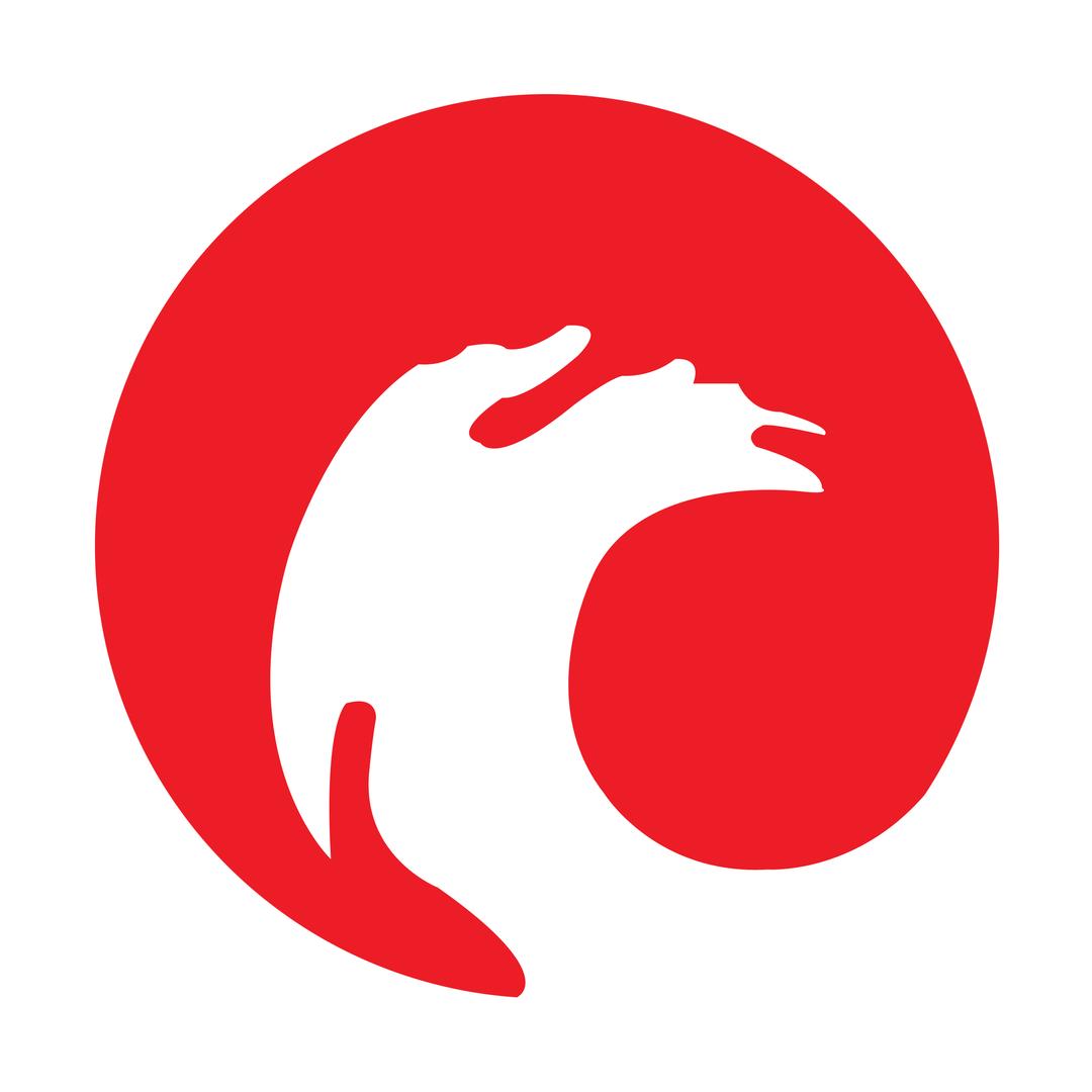 海峡导报大漳州