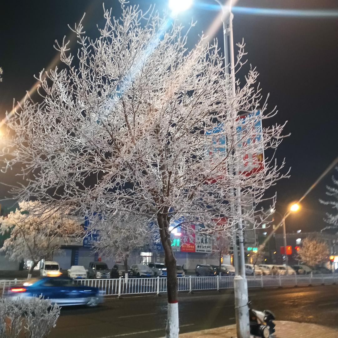 面面聚道面馆