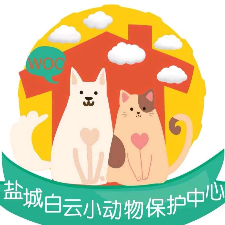 盐城白云小动物保护中心