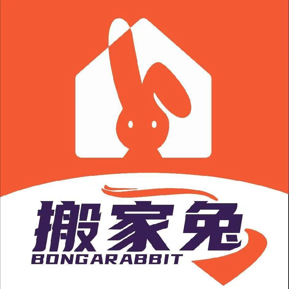 搬家兔-小宝