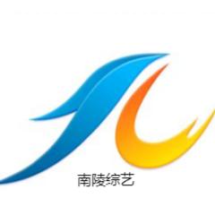 南陵综艺