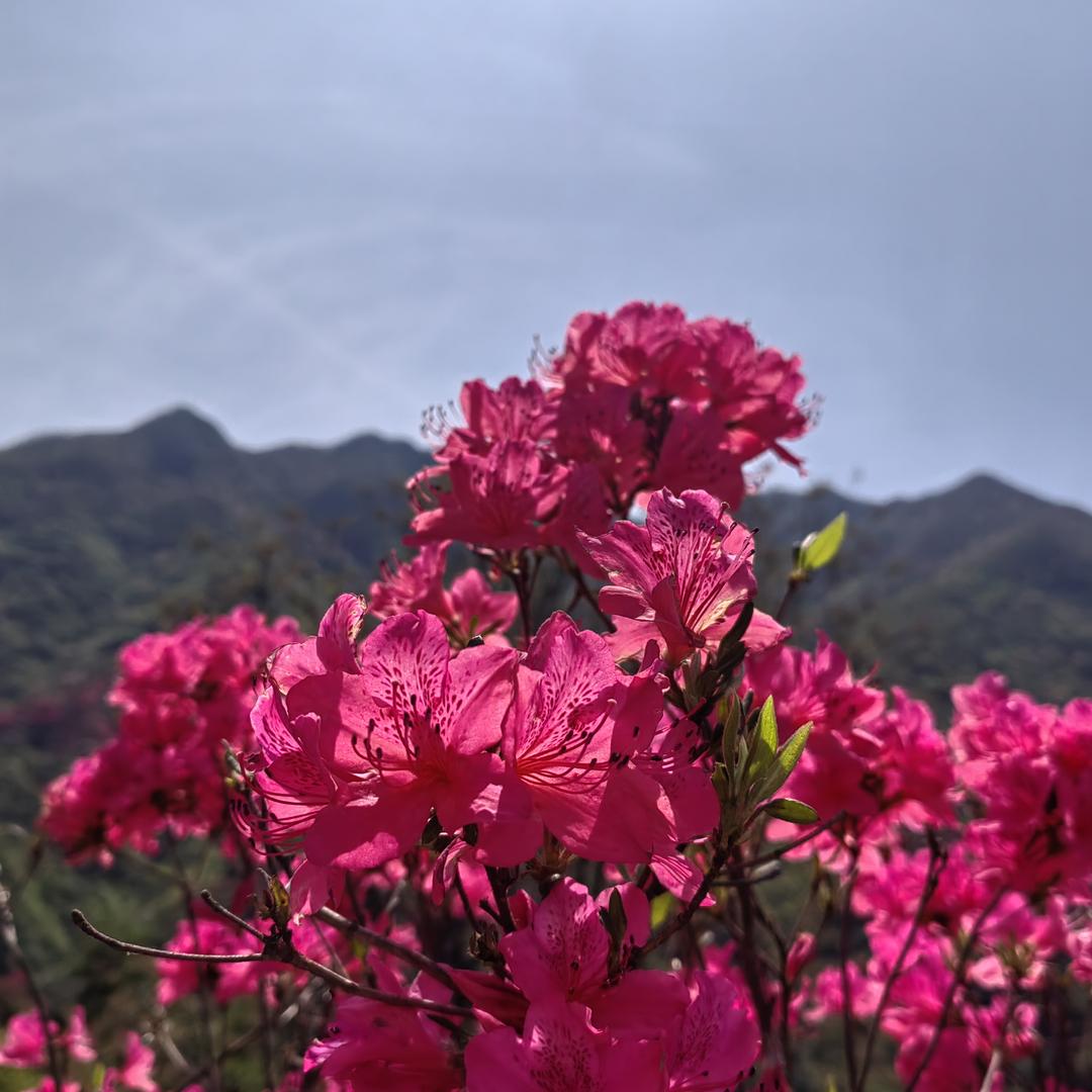 商城丽宝欧寐内衣