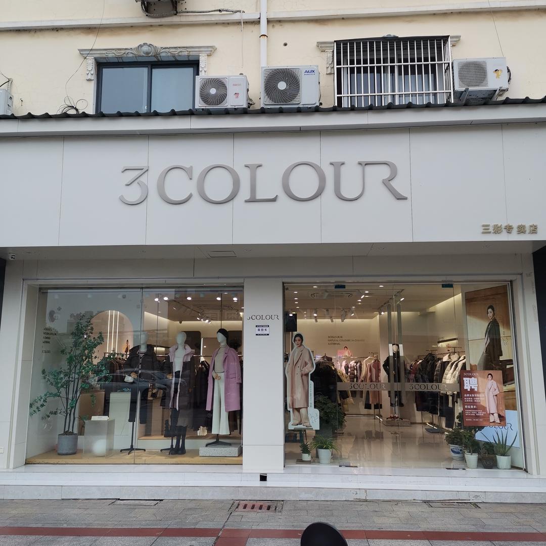 3COLOUR三彩(安徽宿松朱菊华)