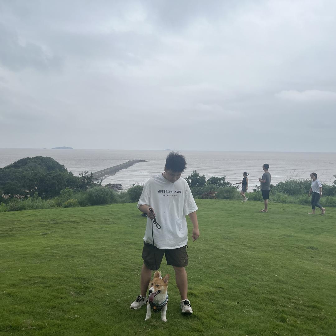 青禾雷宇