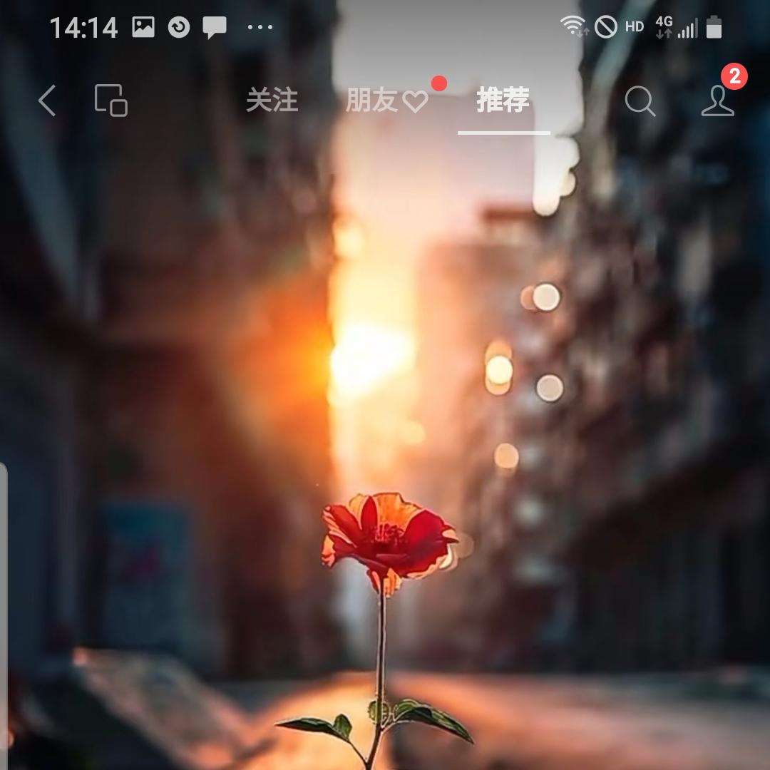 茶